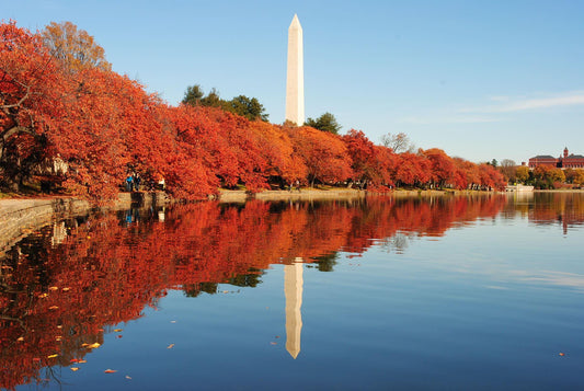 Scents of the Season (WASHINGTON, D.C. - FRIDAYS & SUNDAYS)